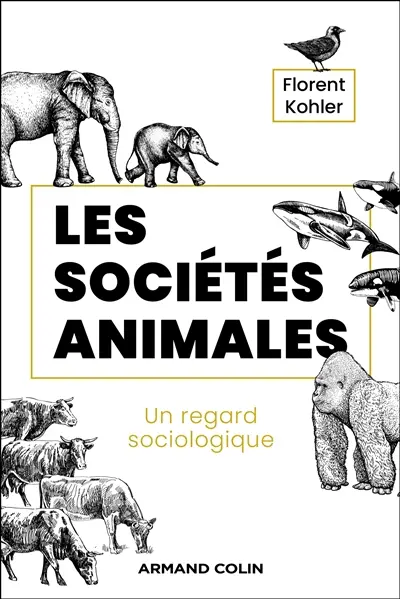 Les sociétés animales : un regard sociologique