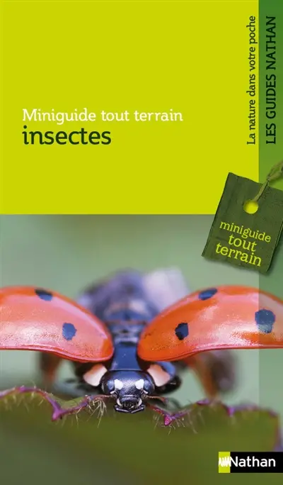 Insectes