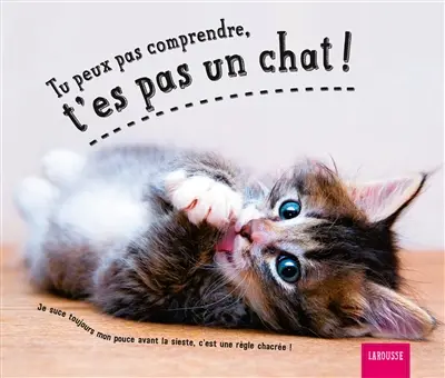 Tu peux pas comprendre, t'es pas un chat !