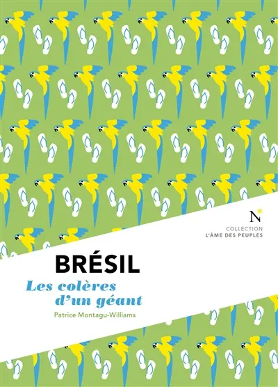 Brésil : les colères d'un géant