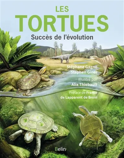 Les tortues : succès de l'évolution