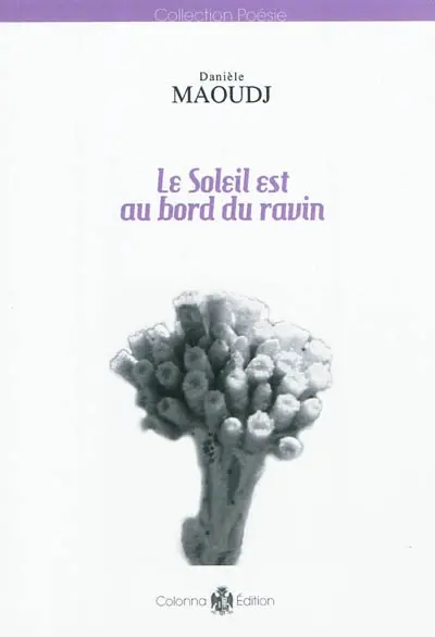 Le soleil est au bord du ravin