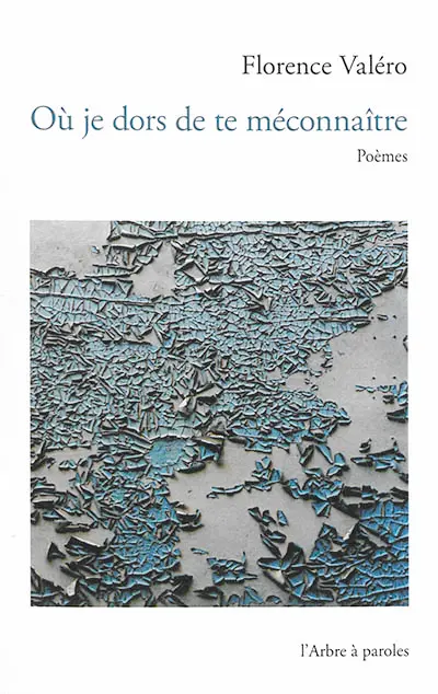 Où je dors de te méconnaître : poèmes