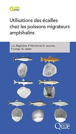 Utilisations des écailles chez les poissons migrateurs amphihalins