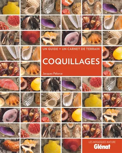 Coquillages : un guide + un carnet de terrain