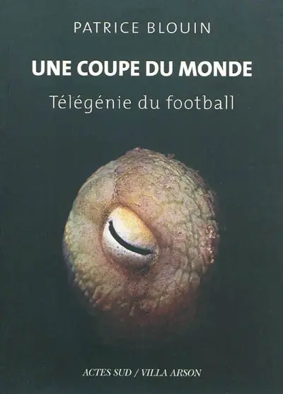 Une coupe du monde : télégénie du football