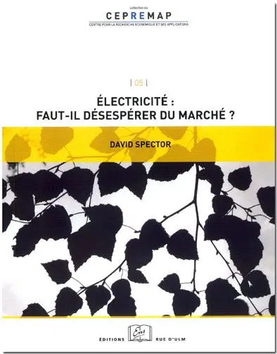 Electricité, faut-il désespérer du marché ?
