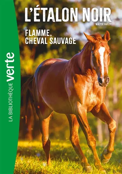 L'étalon noir. Vol. 10. Flamme, cheval sauvage