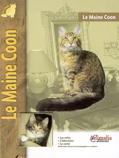 Le maine coon