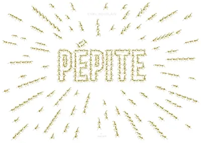 Pépite