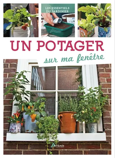 Un potager sur ma fenêtre