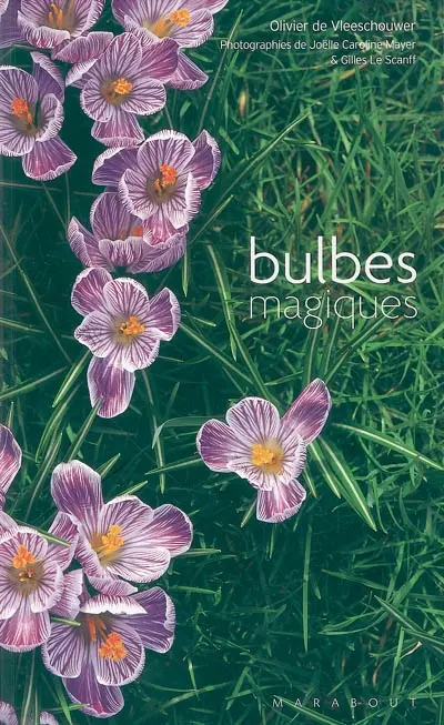 Bulbes magiques
