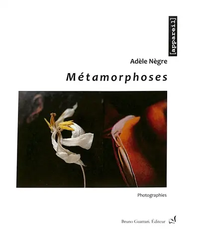Métamorphoses : photographies