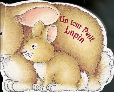 Un tout petit lapin