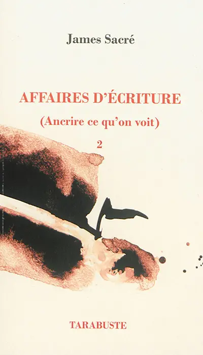 Affaires d'écriture. Vol. 2. Ancrire ce qu'on voit