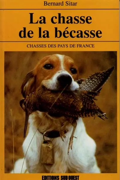 La chasse de la bécasse