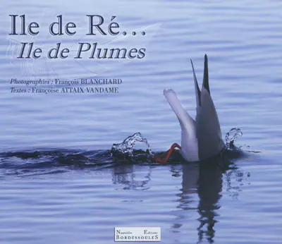 Ile de Ré... Ile de plumes