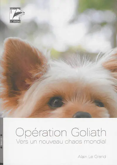 Opération Goliath : vers un nouveau chaos mondial