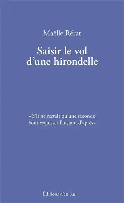 Saisir le vol d'une hirondelle