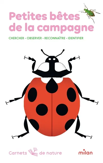 Petites bêtes de la campagne : chercher, observer, reconnaître, identifier