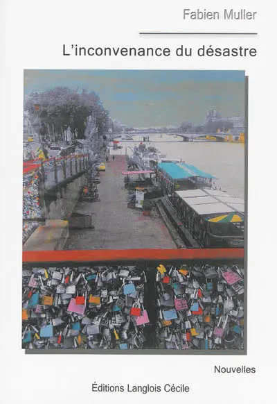 L'inconvenance du désastre