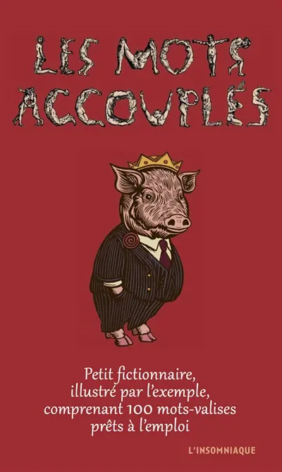 Les mots accouplés : petit fictionnaire, illustré par l'exemple, comprenant 100 mots-valises prêts à l'emploi