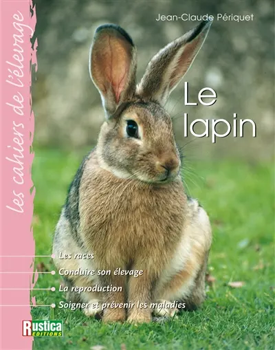La lapin