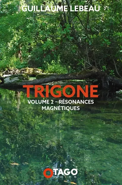 Résonances magnétiques : Trigone 2