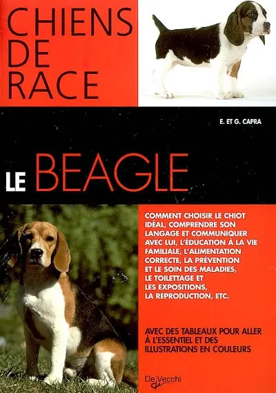 Le beagle