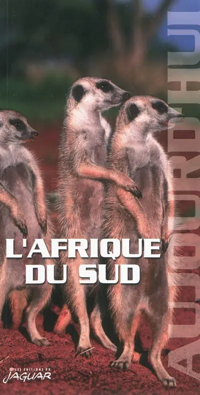 L'Afrique du Sud aujourd'hui
