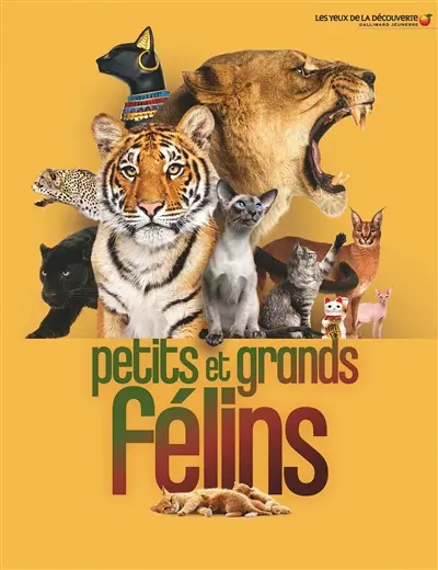 Petits et grands félins