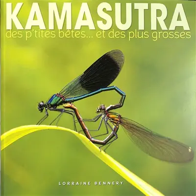 Kamasutra des p'tites bêtes... et des plus grosses