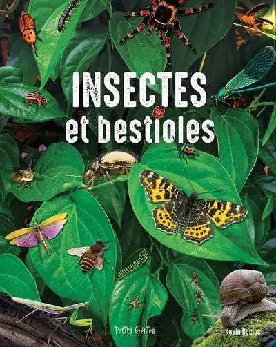 Insectes et bestioles