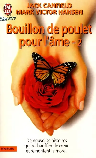 Bouillon de poulet pour l'âme 2 : de nouvelles histoires qui réchauffent le coeur et remontent le moral