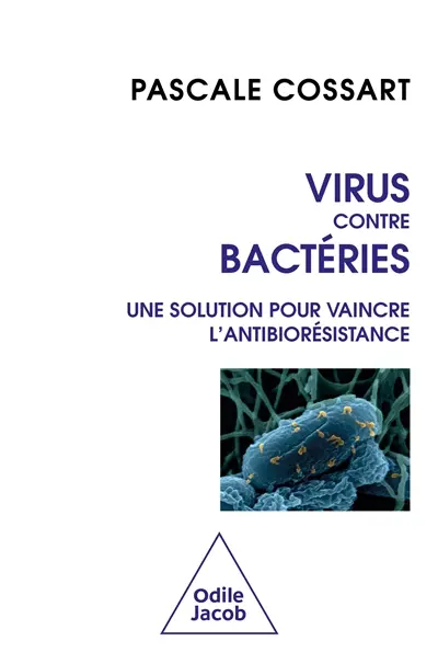 Virus contre bactéries : une solution pour vaincre l'antibiorésistance