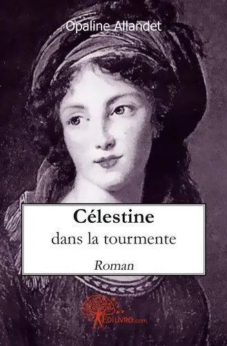 Célestine dans la tourmente : Roman
