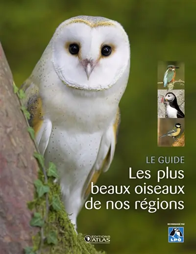 Les plus beaux oiseaux de nos régions : le guide