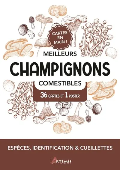Meilleurs champignons comestibles : 36 cartes et 1 poster : espèces, identification & cueillettes