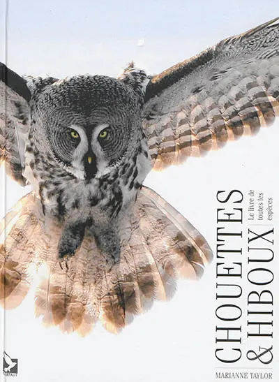 Chouettes & hiboux : le livre de toutes les espèces