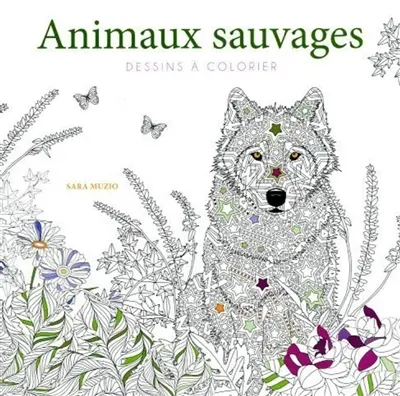 Animaux sauvages : dessins à colorier