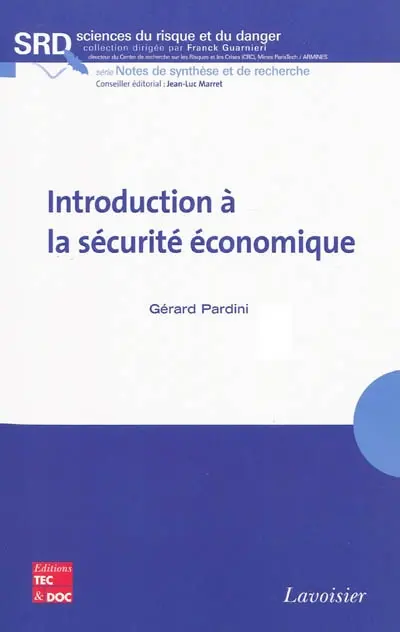 Introduction à la sécurité économique