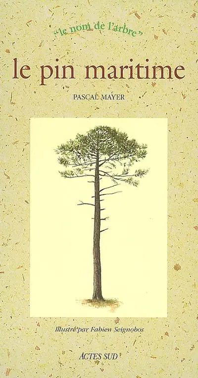 Le pin maritime