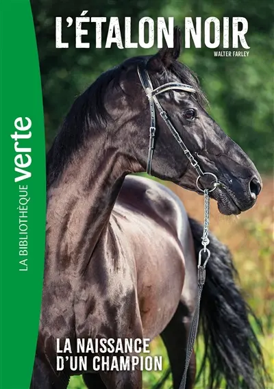 L'étalon noir. Vol. 19. La naissance d'un champion