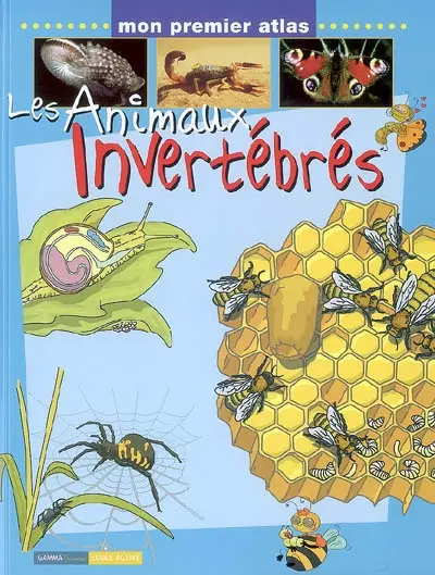 Les animaux invertébrés