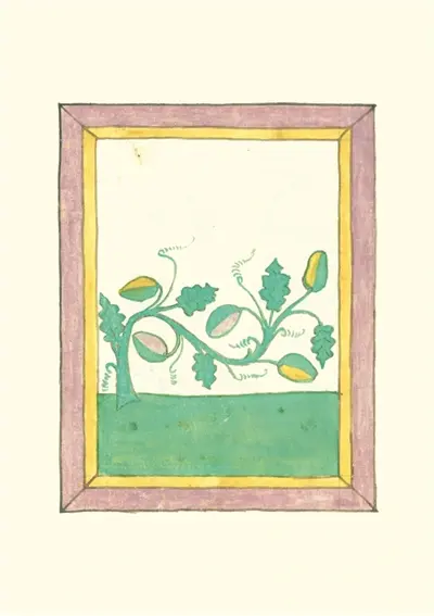 Livre des herbes : carnet