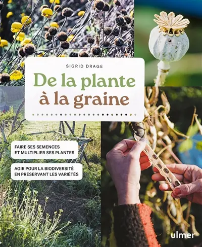 De la plante à la graine : faire ses semences et multiplier ses plantes : agir pour la biodiversité en préservant les variétés