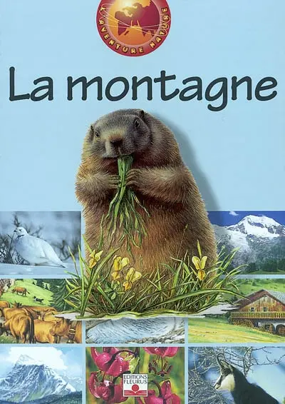 La montagne