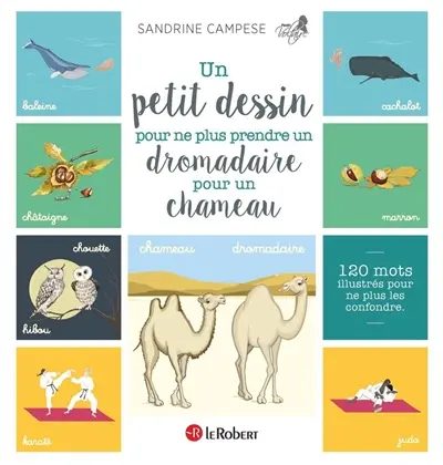 Un petit dessin pour ne plus prendre un dromadaire pour un chameau