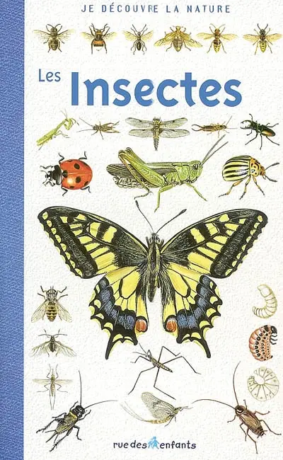 Les insectes