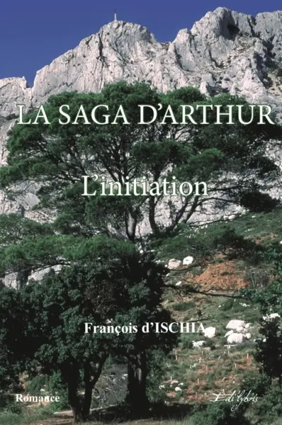 La saga d'Arthur. Vol. 1. L'initiation